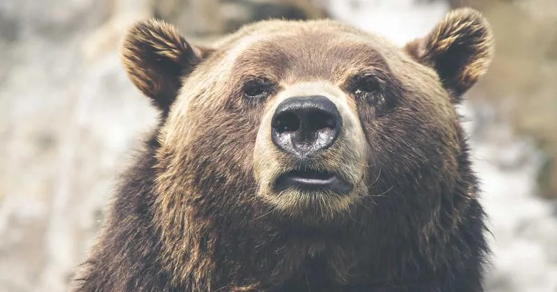 كوبون خصم noon 70% بالكود AHMED60 - صورة 6